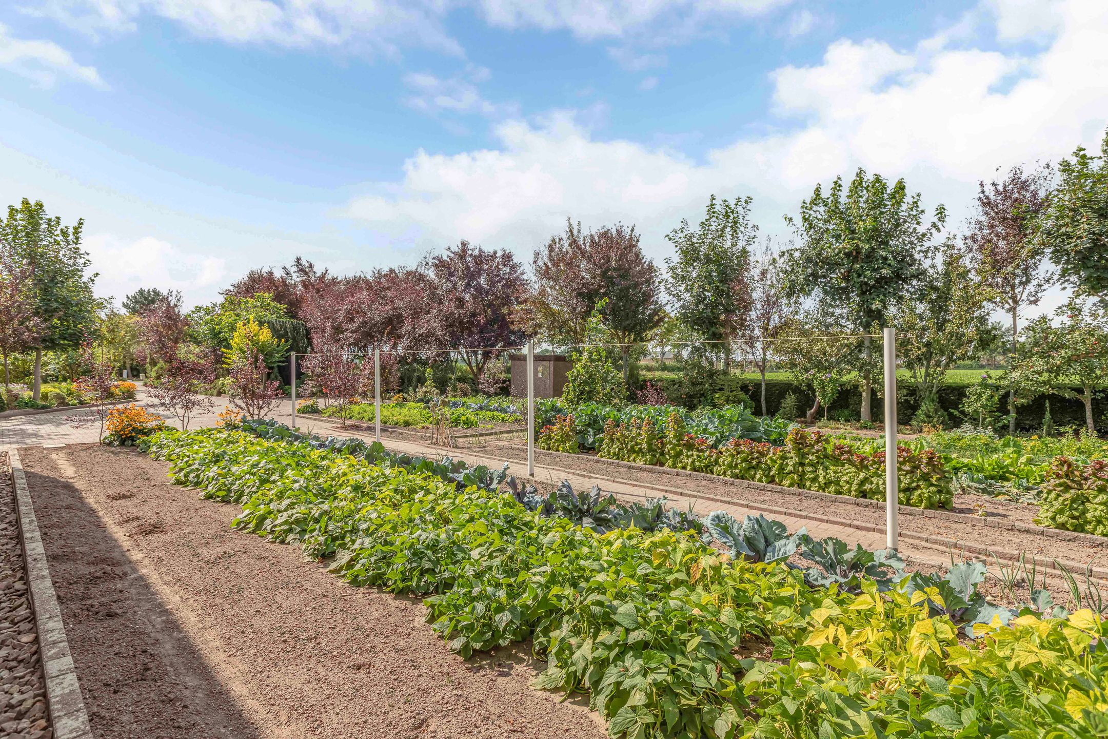 Foto 21 van Blokzijlerweg 5