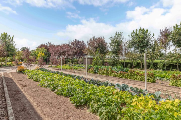 Photo 21 of Blokzijlerweg 5