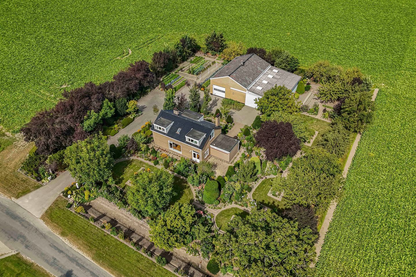 Foto 25 van Blokzijlerweg 5