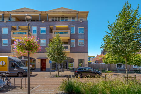 undefined main image