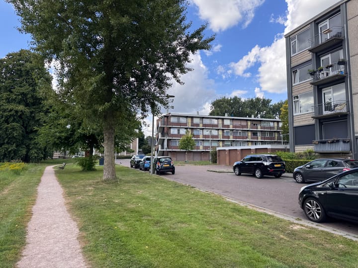 Foto 4 van Lisdoddelaan 4-3