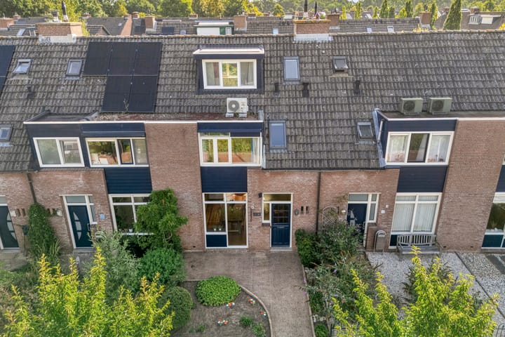 Foto 4 van Cichoreipad 6