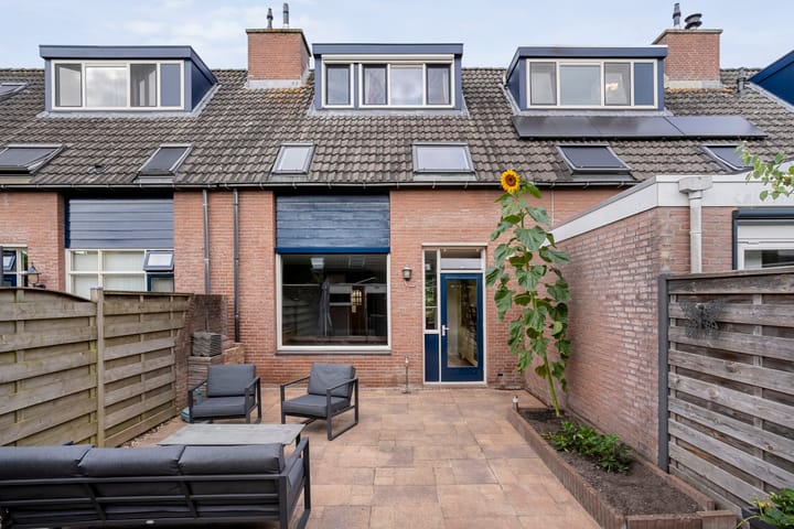 Foto 3 van Cichoreipad 6