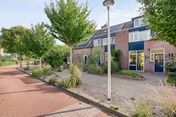 Foto 5 van Cichoreipad 6