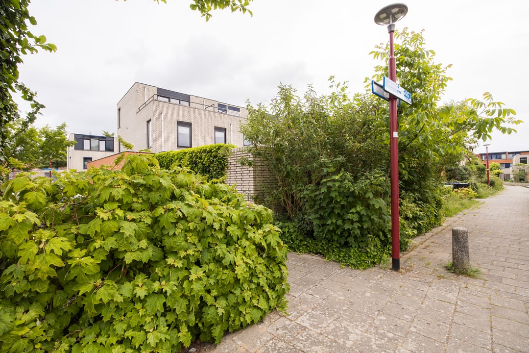 Foto 73 van Johannes Vermeerhage 24