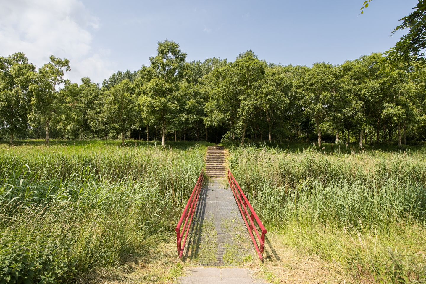 Foto 74 van Johannes Vermeerhage 24