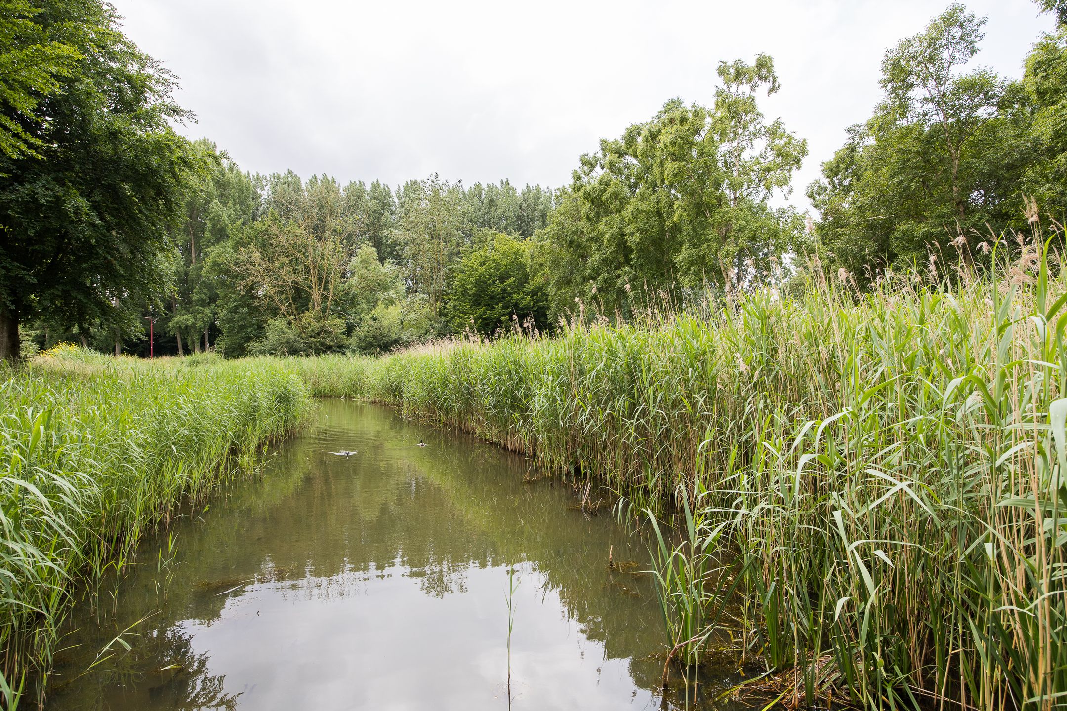 Foto 75 van Johannes Vermeerhage 24