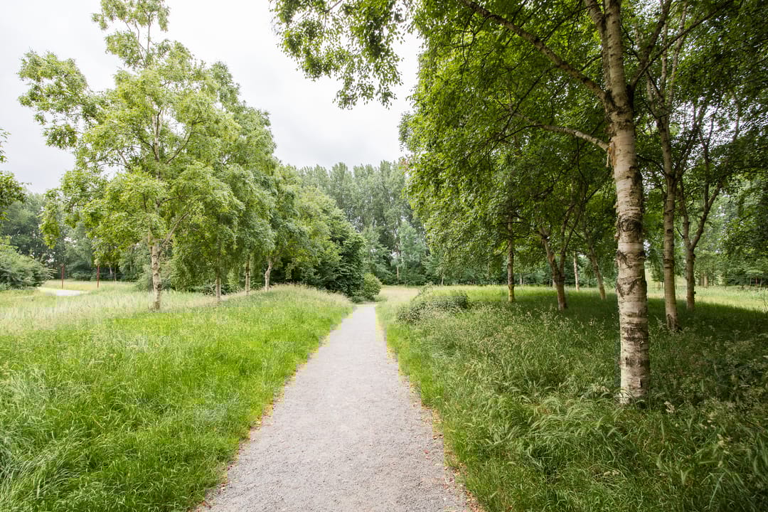 Foto 76 van Johannes Vermeerhage 24