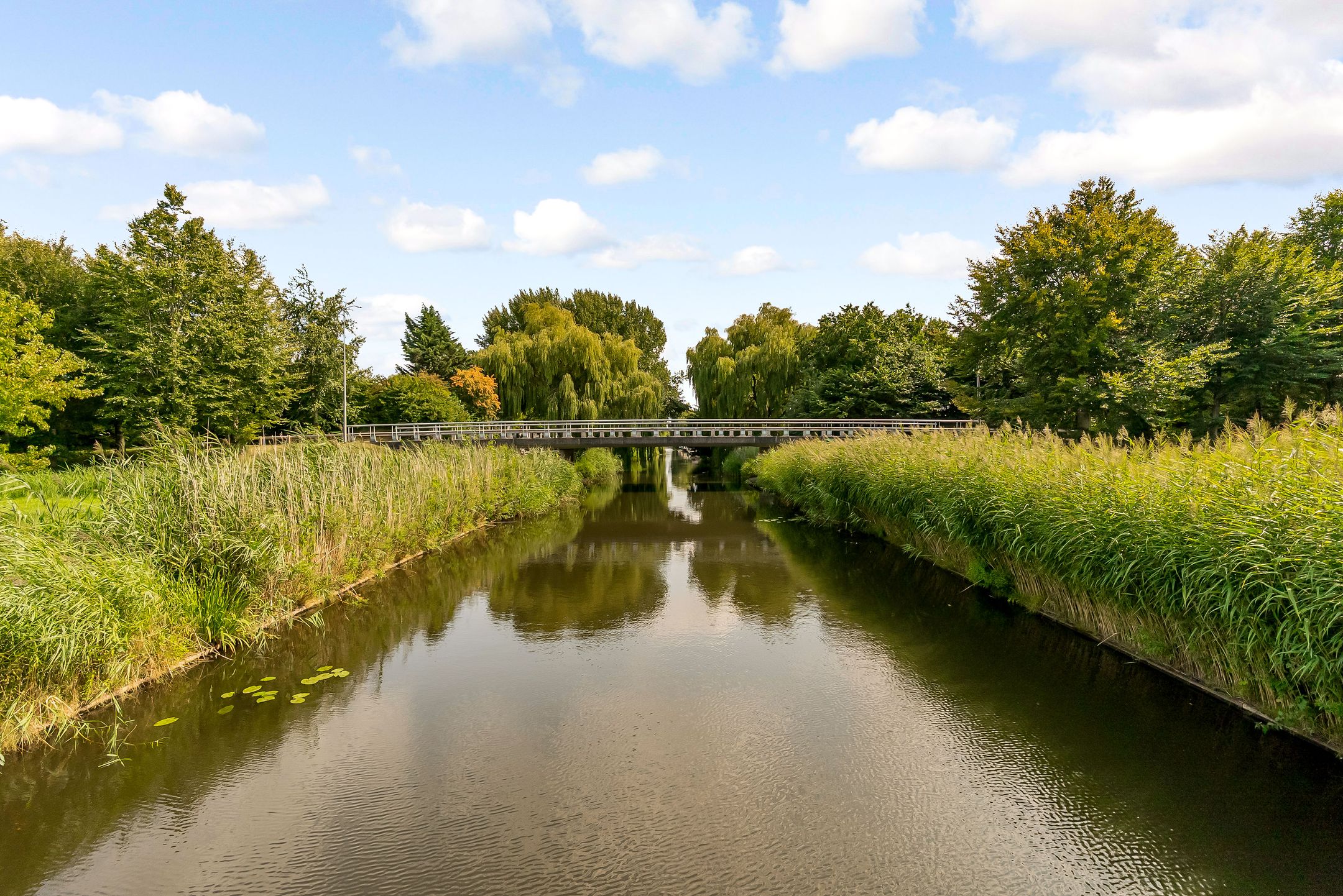 Foto 45 van Willem Gertenbachstraat 28