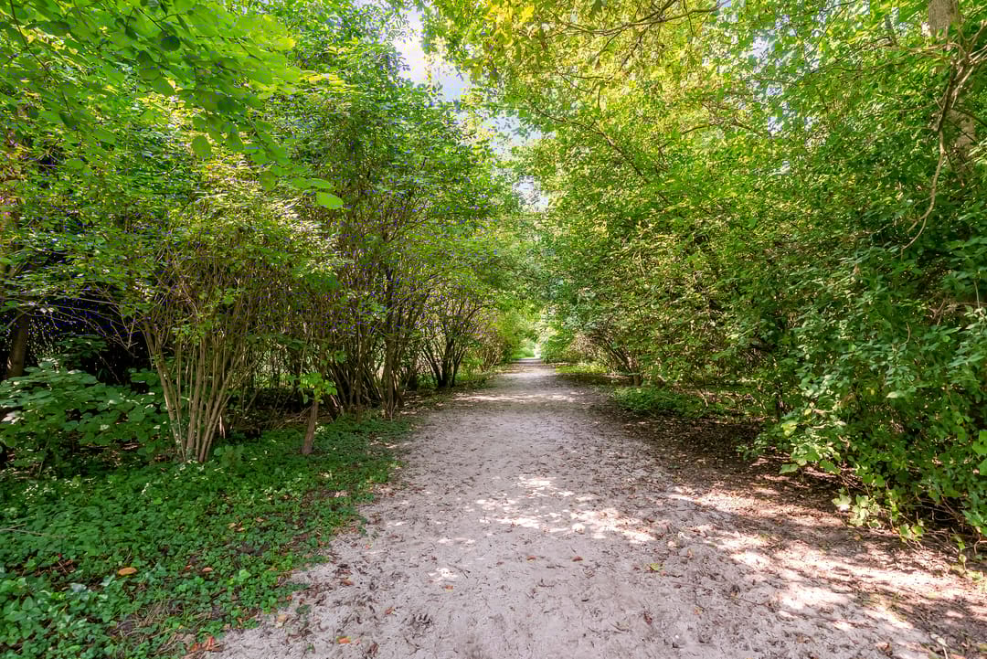 Foto 47 van Willem Gertenbachstraat 28