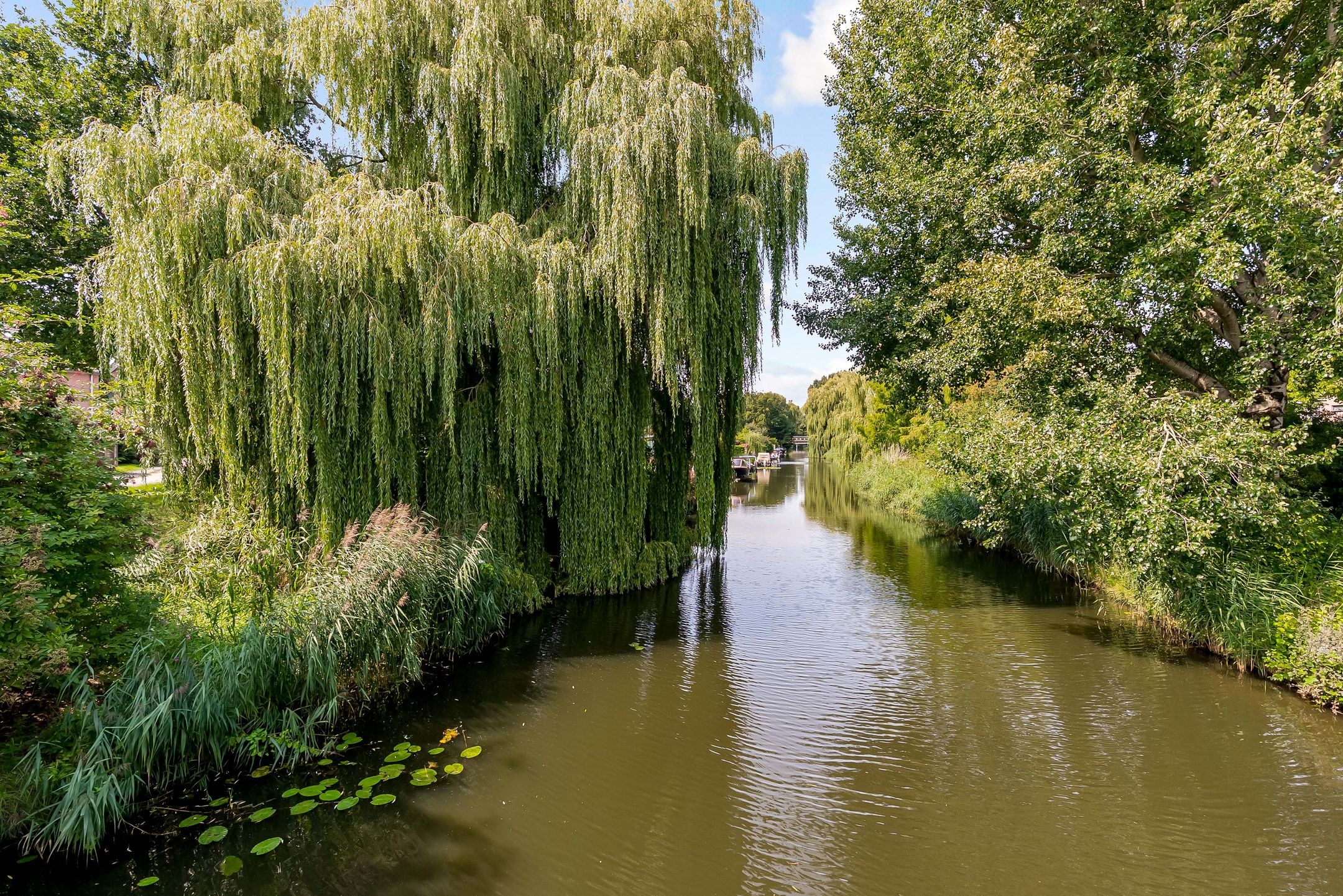 Foto 48 van Willem Gertenbachstraat 28