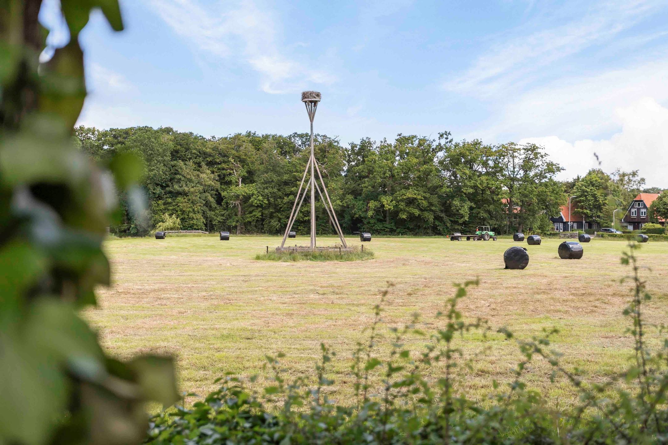 Photo 51 of Oranje Nassaulaan 25