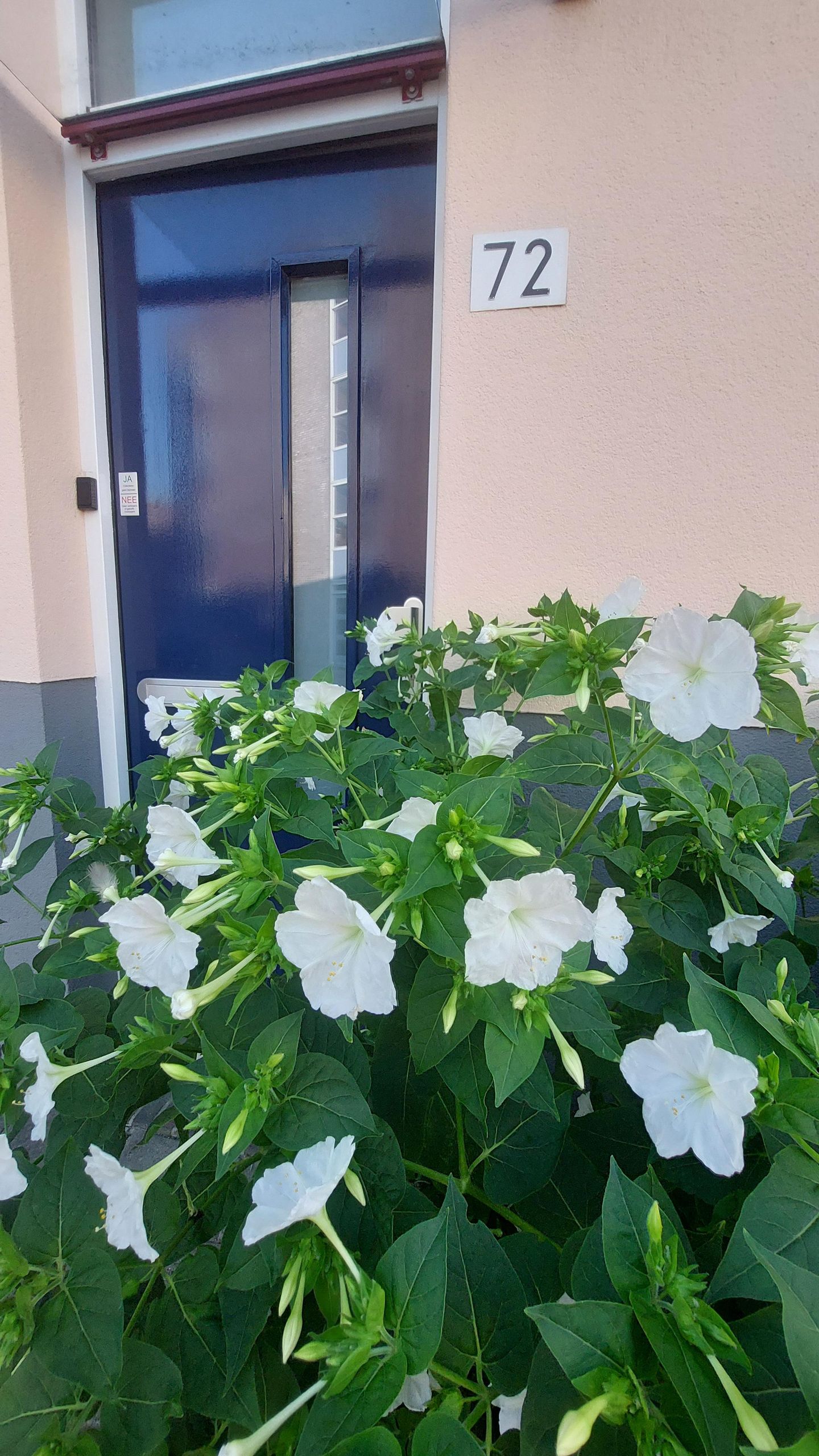 Foto 35 van Sint Aldegondestraat 72