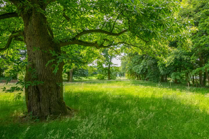 Foto 23 van Doetinchemseweg 72