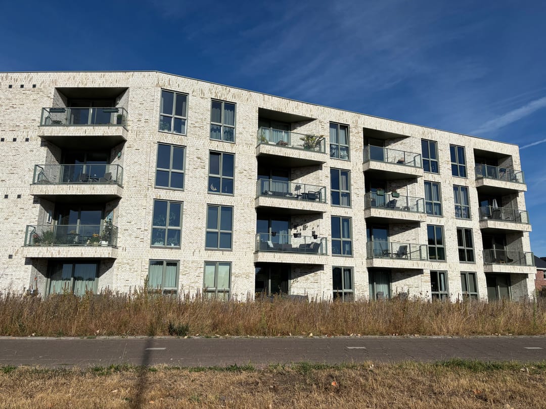 Foto 1 van Ierse heide 39