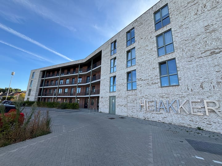 Foto 3 van Ierse heide 39