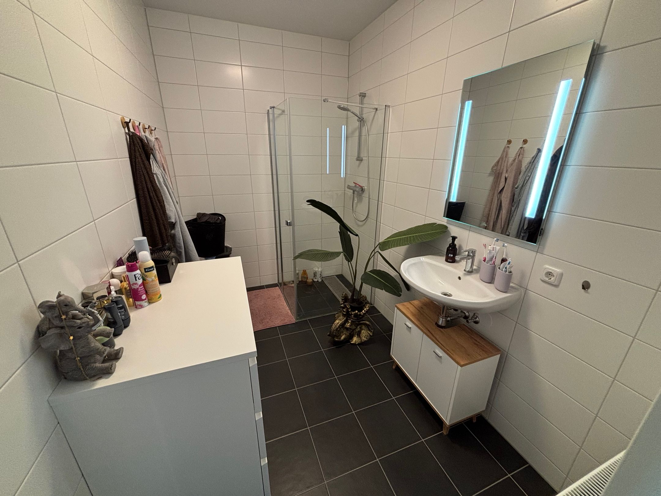 Foto 18 van Ierse heide 39