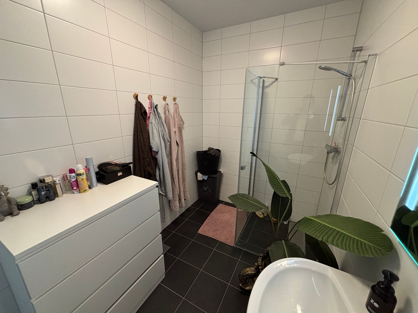 Foto 19 van Ierse heide 39