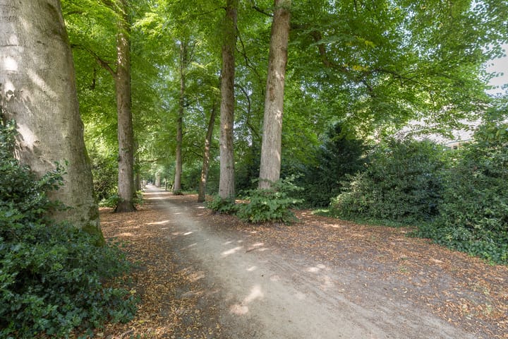 Foto 46 van Burgemeester Gülcherlaan 11