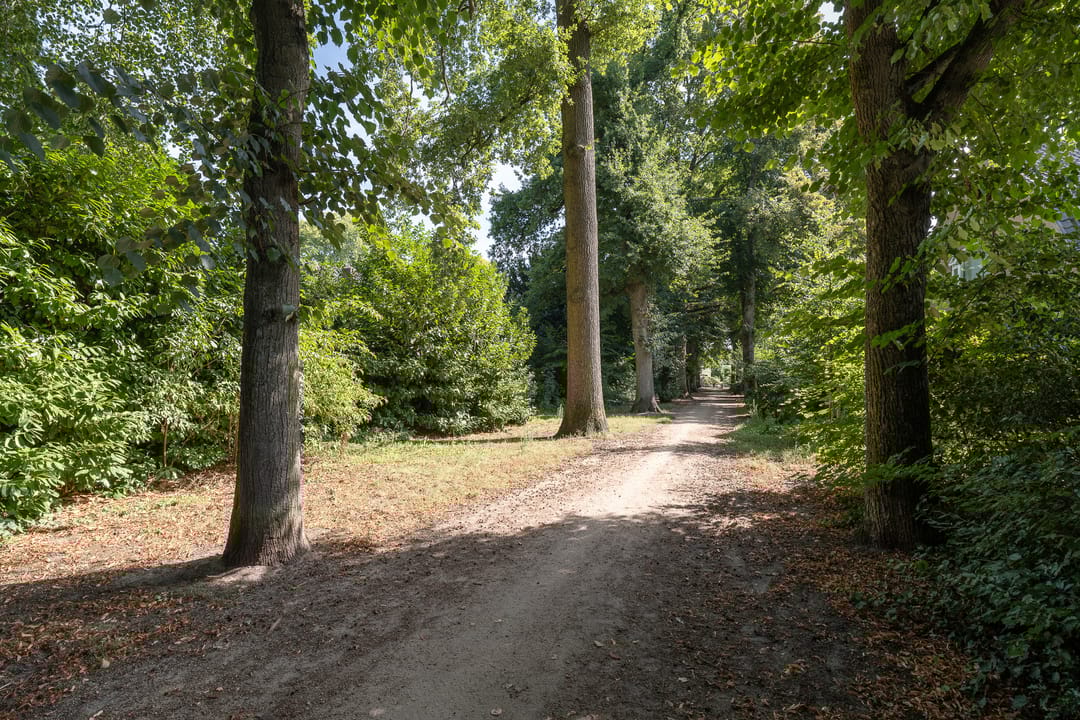 Foto 47 van Burgemeester Gülcherlaan 11