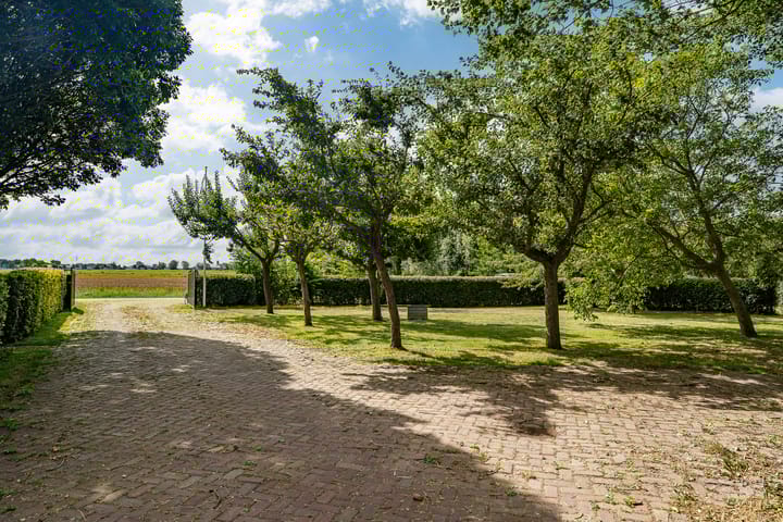 Foto 8 van Slappeterpsterdyk 5