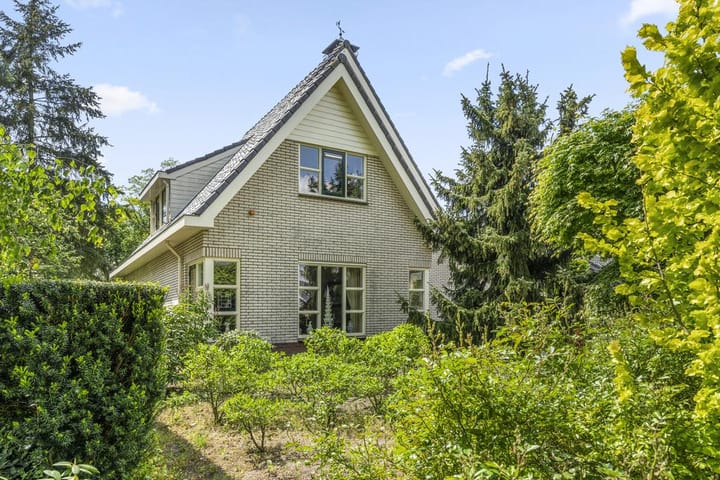 Foto 39 van Hugo de Vriespark 4