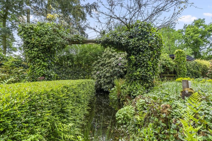 Foto 44 van Hugo de Vriespark 4