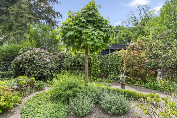 Foto 45 van Hugo de Vriespark 4