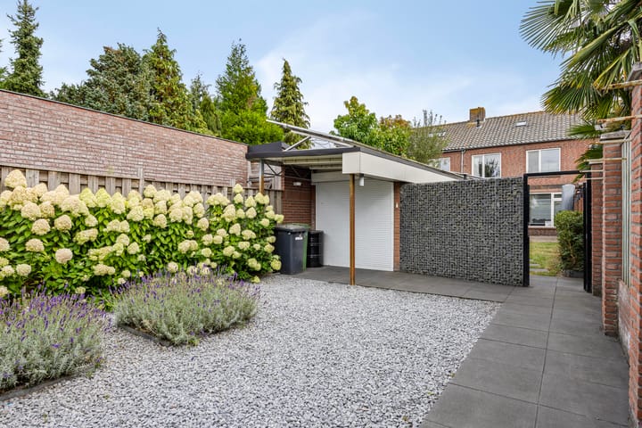 Foto 21 van De Mortelkes 9