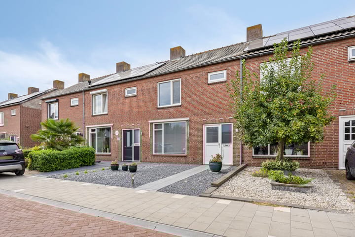 Foto 24 van De Mortelkes 9