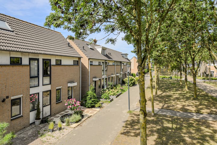 Foto 2 van Grote Dijk 2