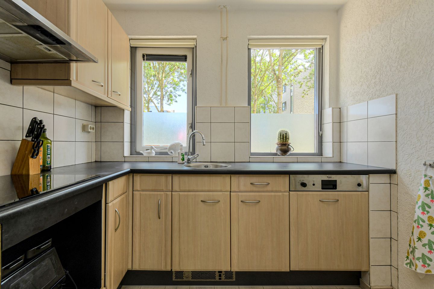 Foto 10 van Grote Dijk 2