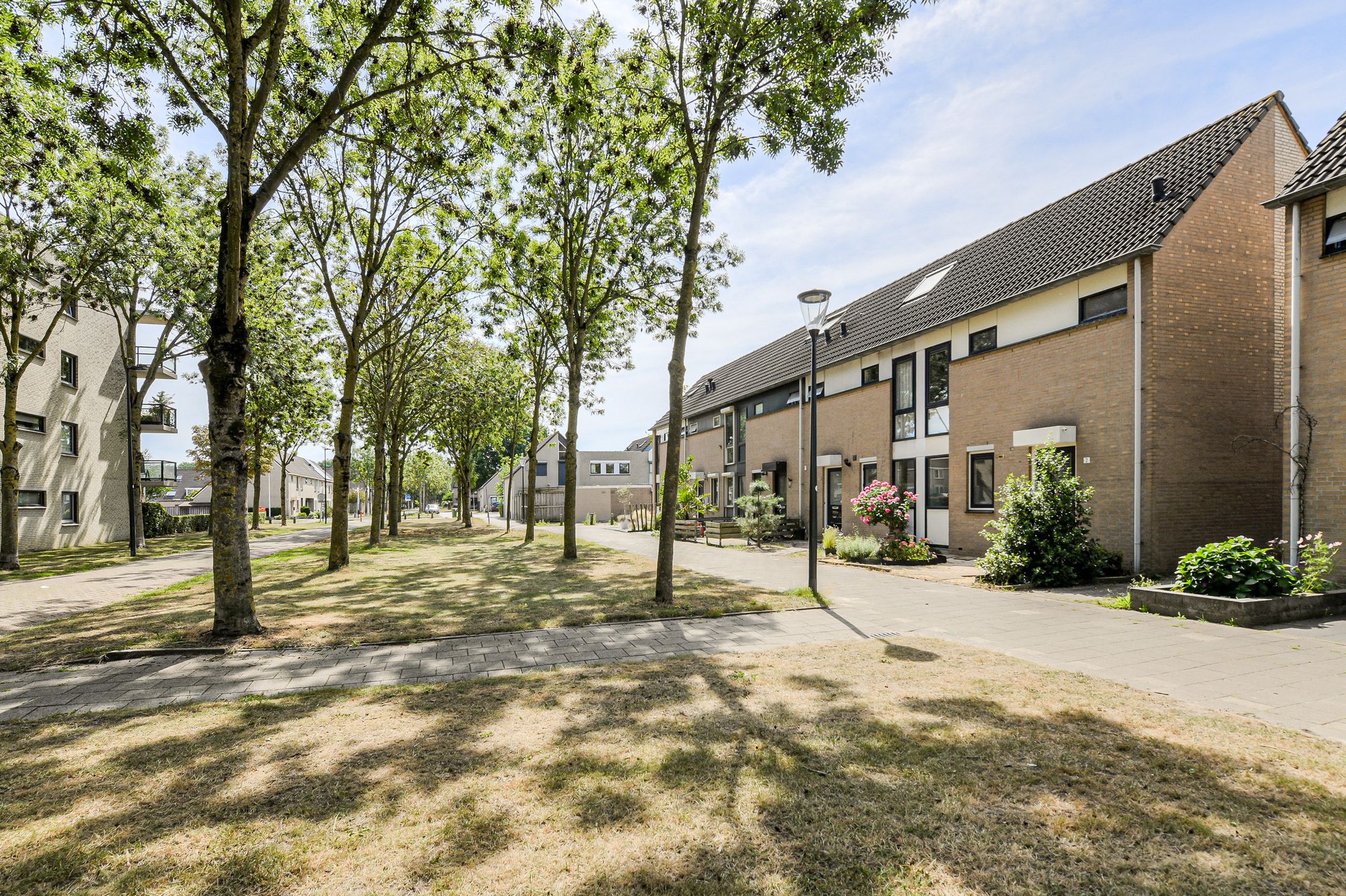 Foto 39 van Grote Dijk 2