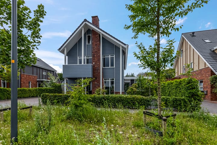 Foto 70 van Henk Wildenburglaan 19