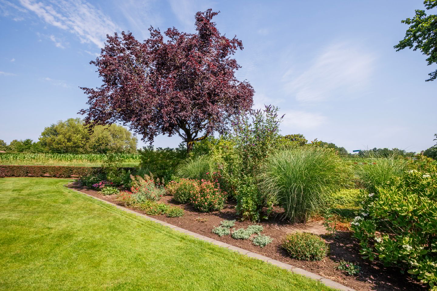 Foto 14 van Berendschotstraat 2