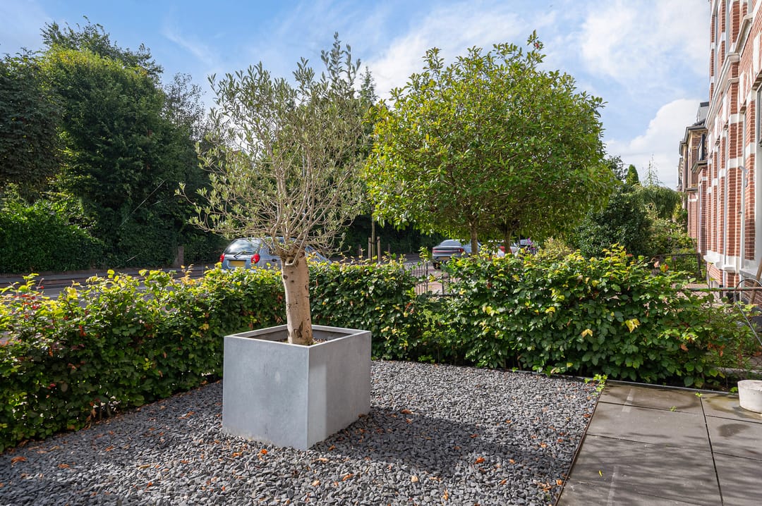 Foto 7 van Weeresteinstraat 71