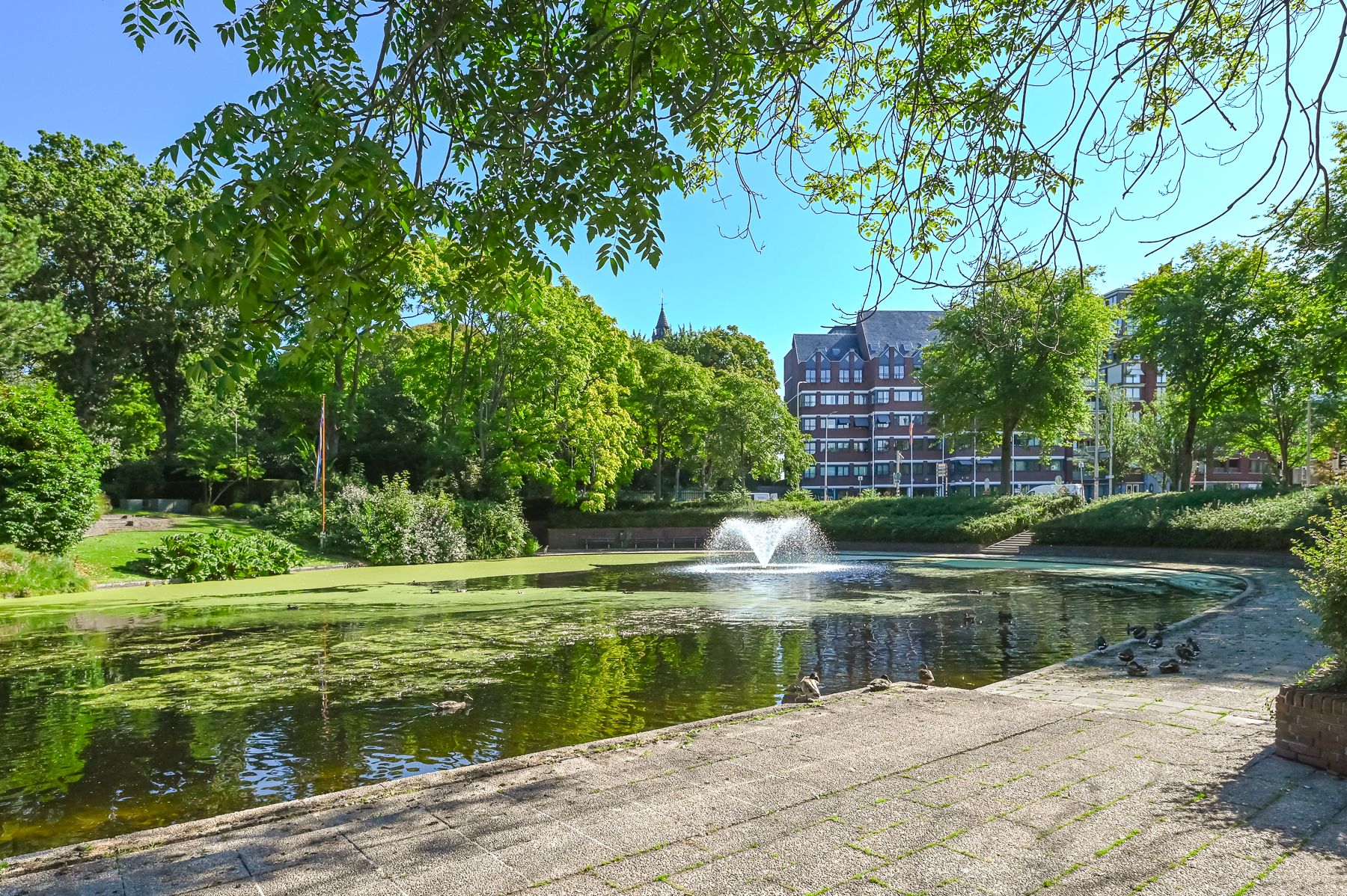 Foto 39 van Laan van Meerdervoort 84-20