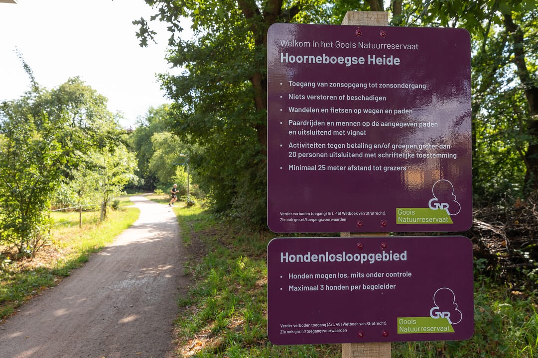 Photo 26 of Nieuwlandseweg 11