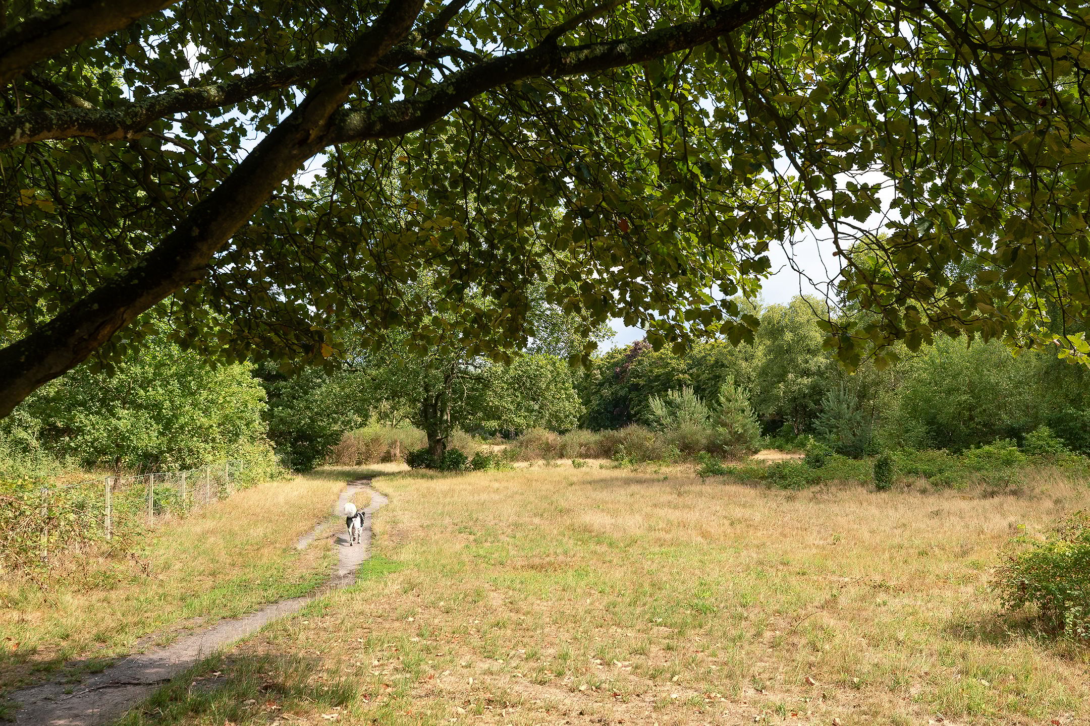 Photo 27 of Nieuwlandseweg 11