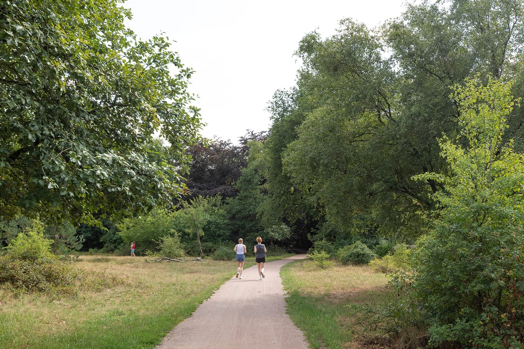 Photo 28 of Nieuwlandseweg 11