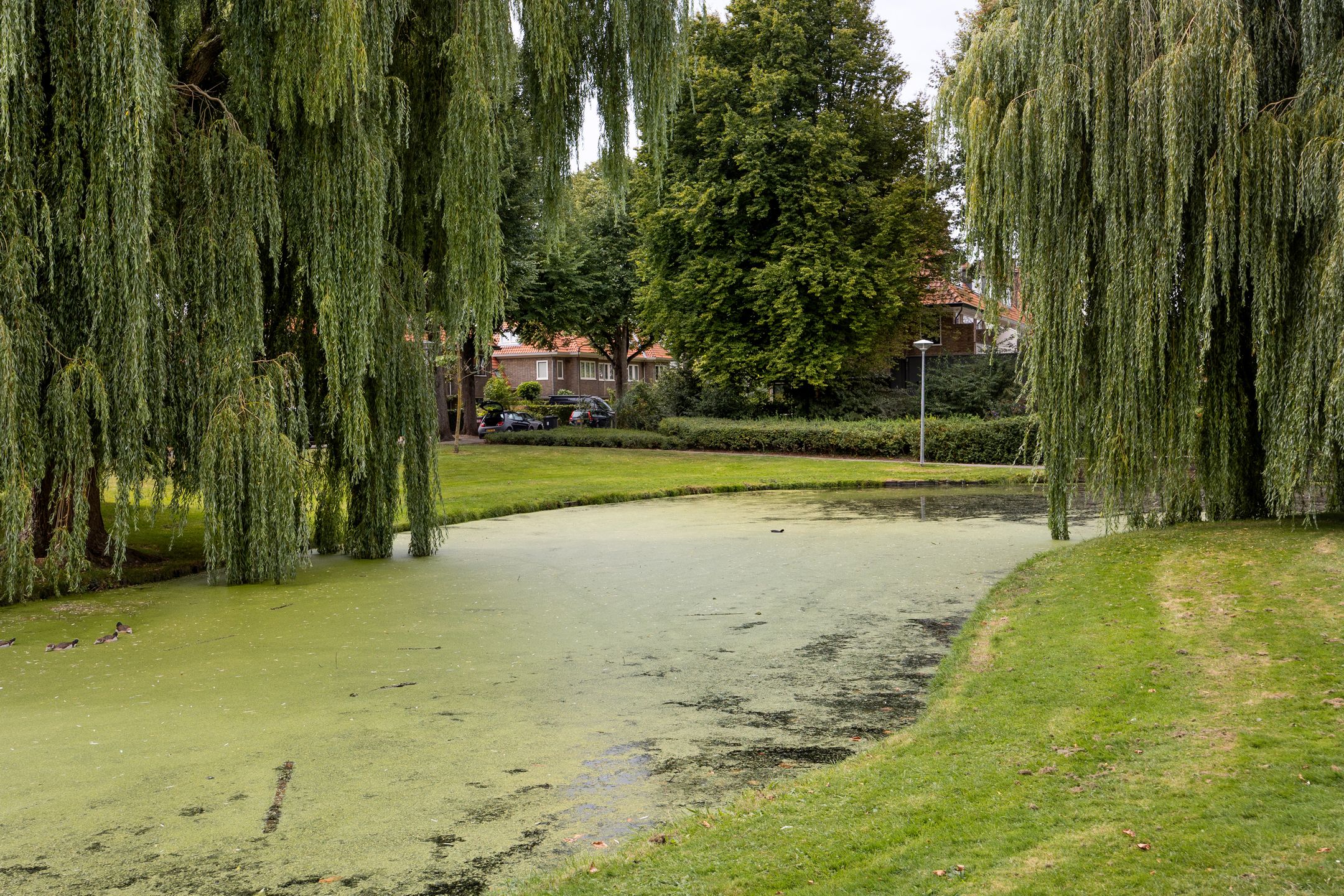 Photo 30 of Waldeck Pyrmontlaan 1