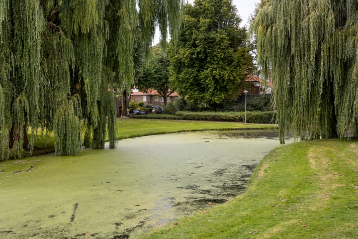 Foto 30 van Waldeck Pyrmontlaan 1