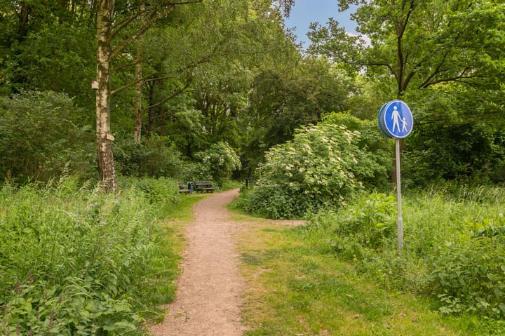 Photo 53 of Lage Zandsestraat 8