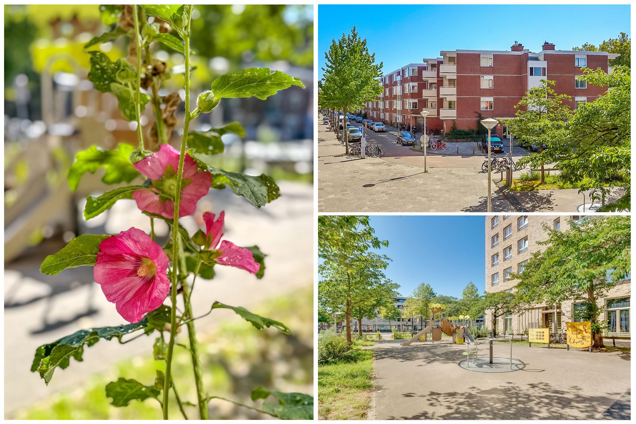 Foto 6 van Riouwstraat 14