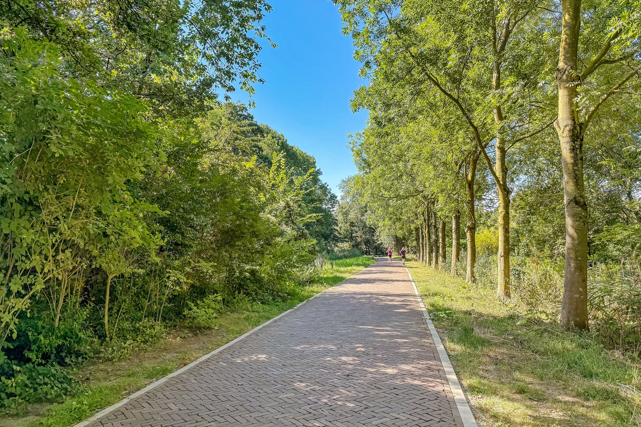 Foto 30 van Riouwstraat 14