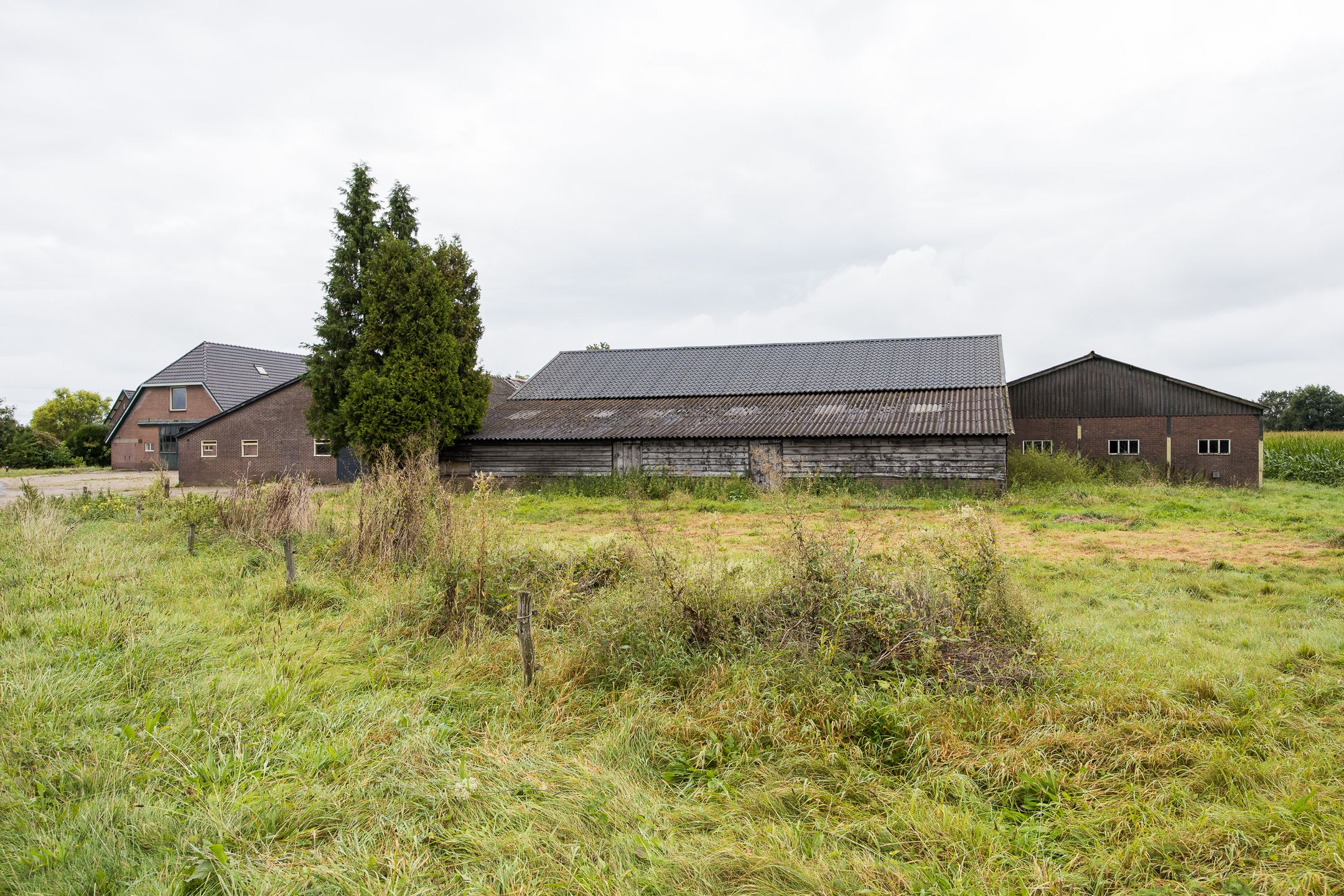 Foto 96 van Noord Emperweg 17