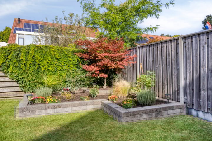 Foto 38 van De Amazone 5