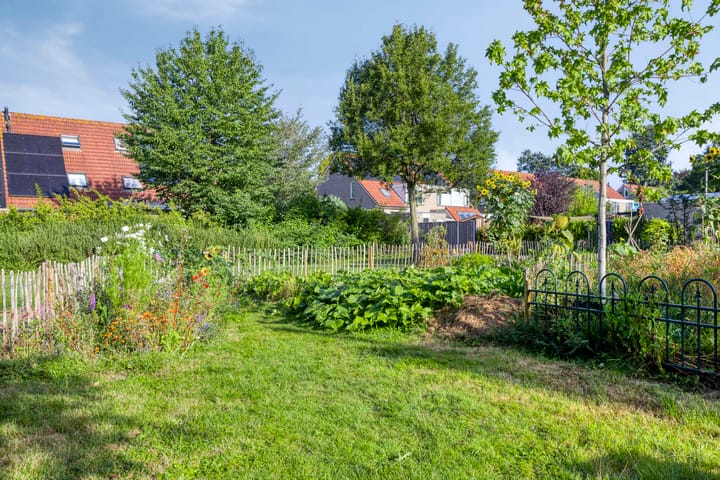 Foto 42 van De Amazone 5