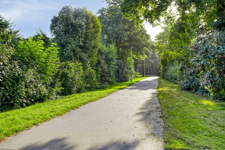 Foto 46 van De Amazone 5