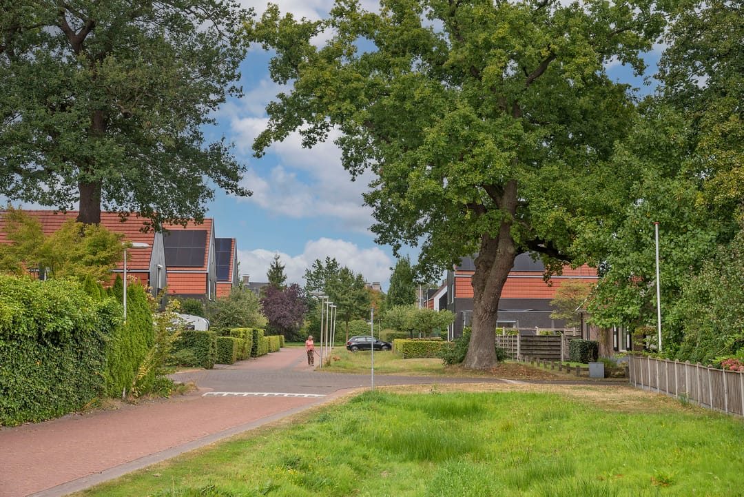 Photo 46 of Raanhuisstraat 11